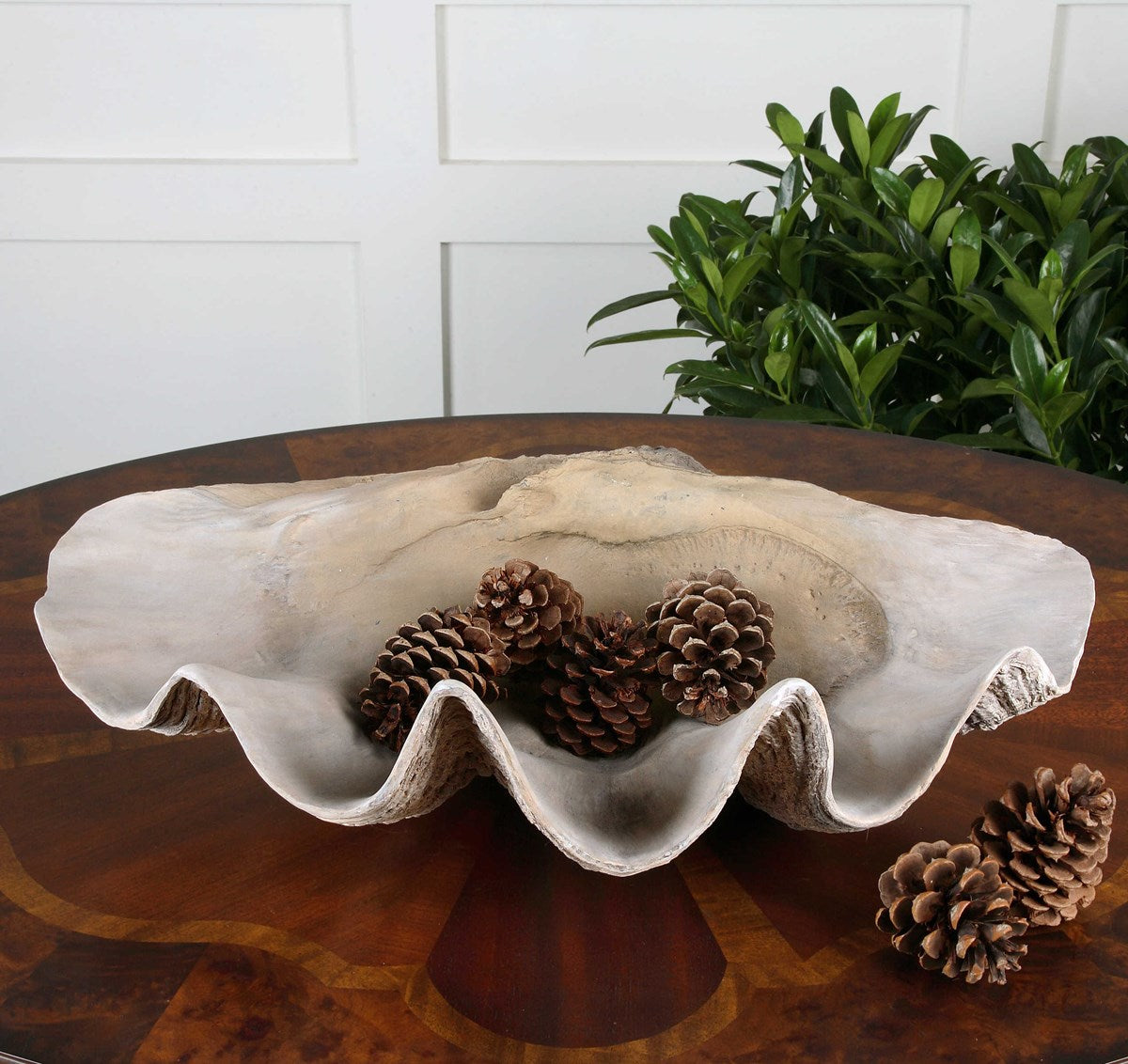 Clam 23 X 7 inch Shell Bowl 19800