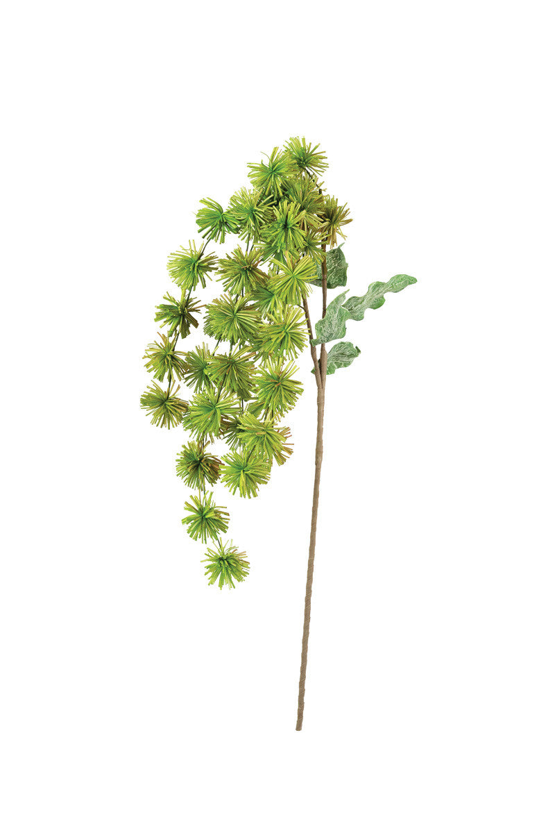 Botanica #3323