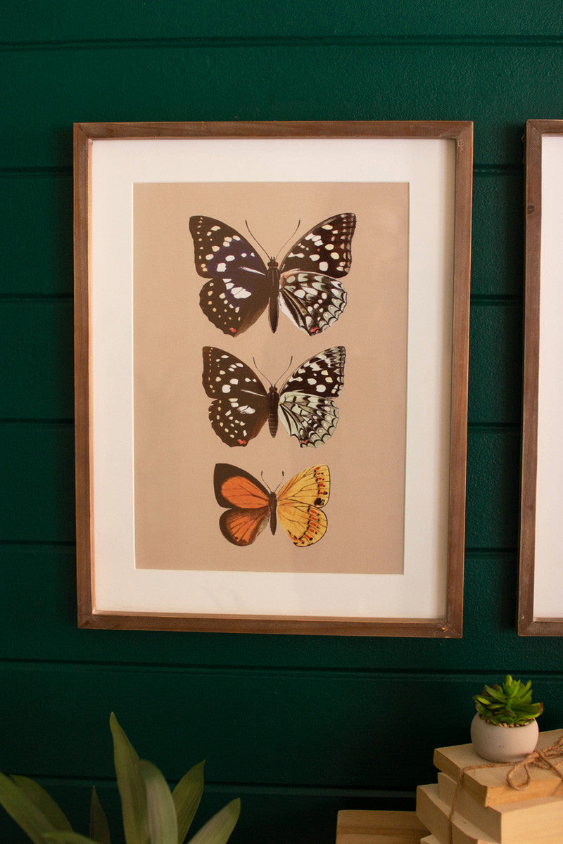 Set of 2 Framed Butterfly Prints Under Glass