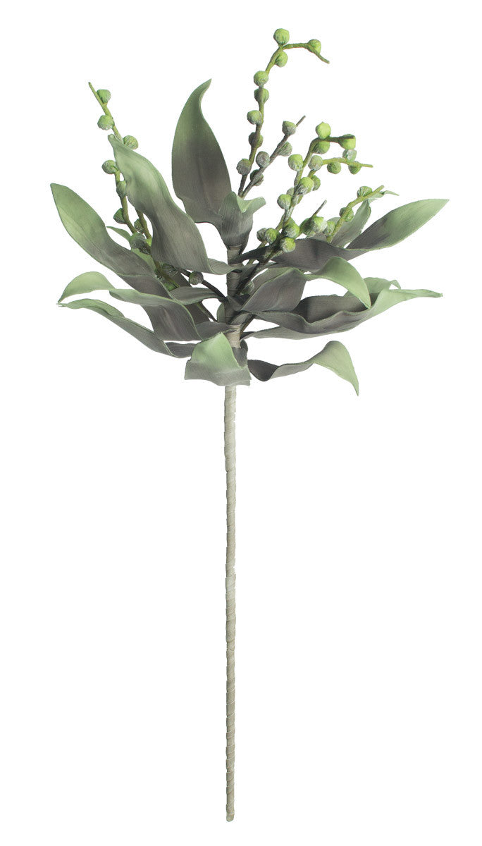 Botanica #2194