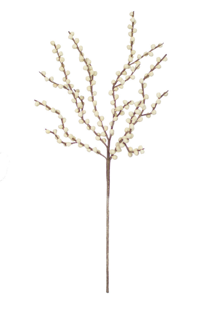 Botanica #2290