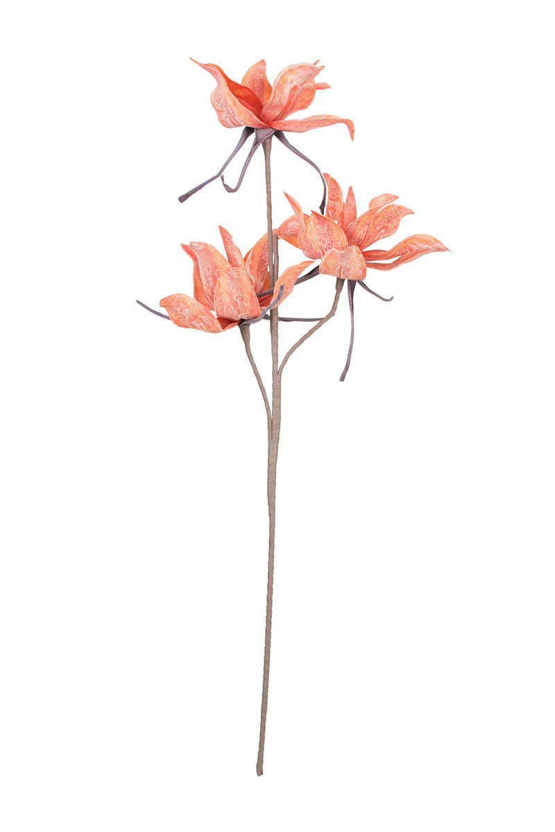 Botanica #2345