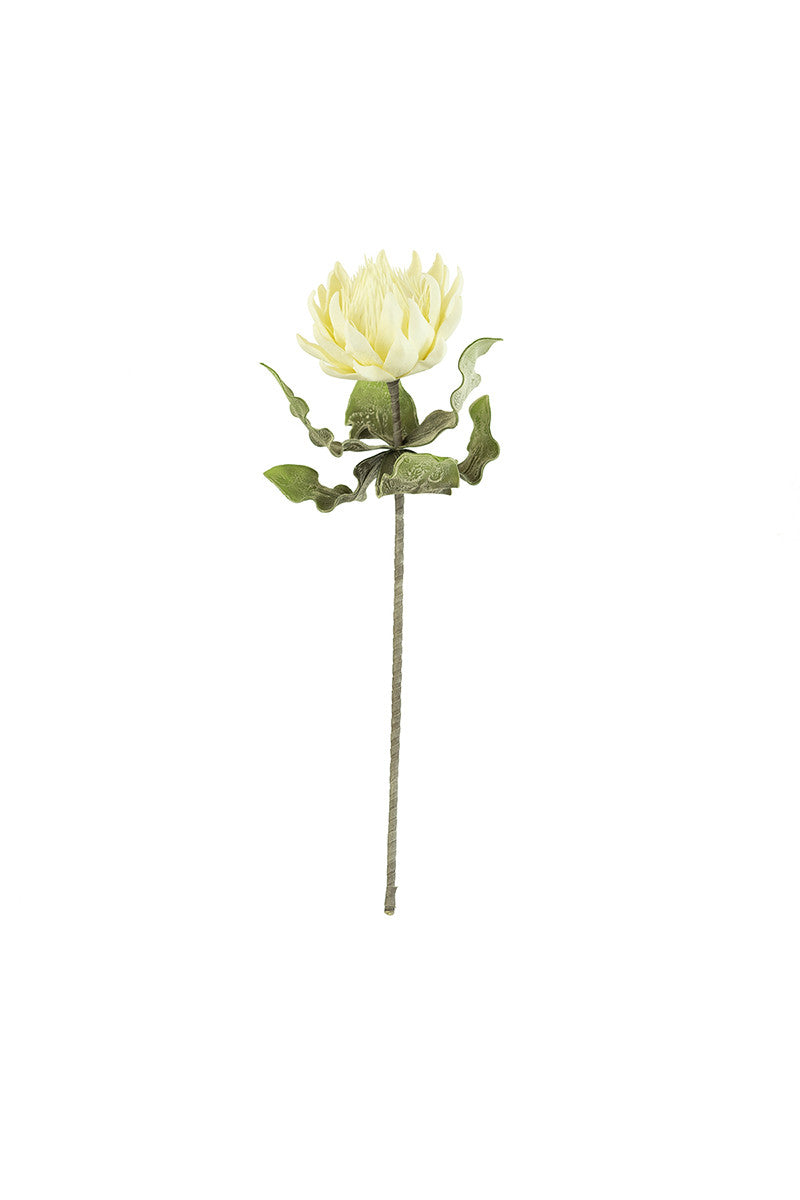 Botanica #2424
