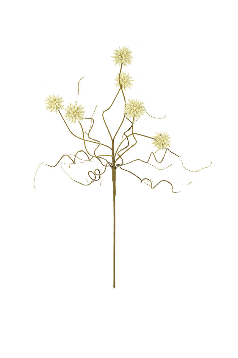 Botanica #2443