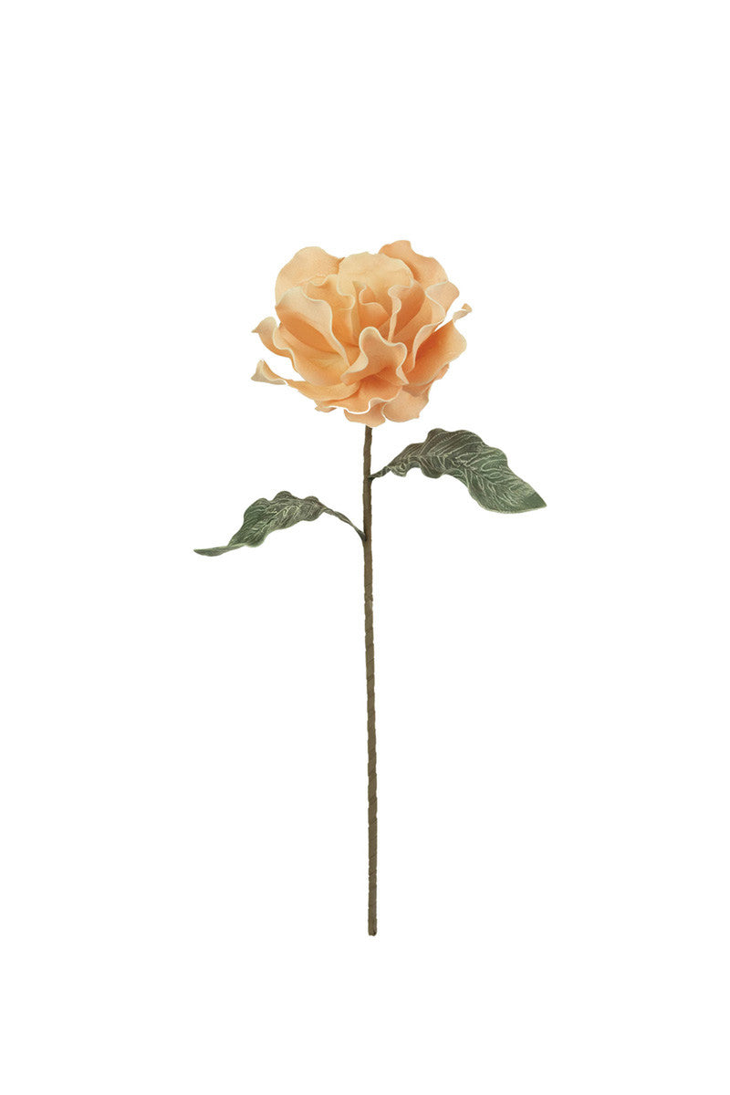 Botanica #2661