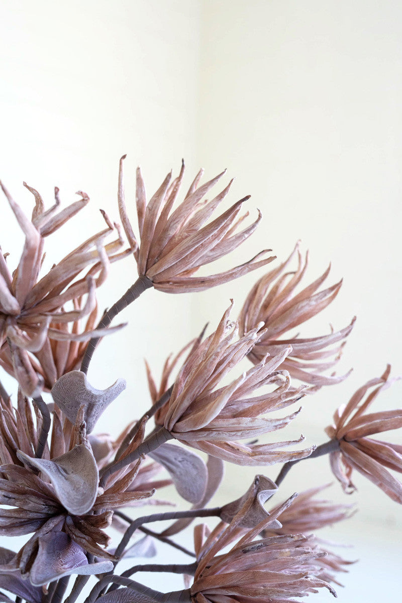 Botanica #2664