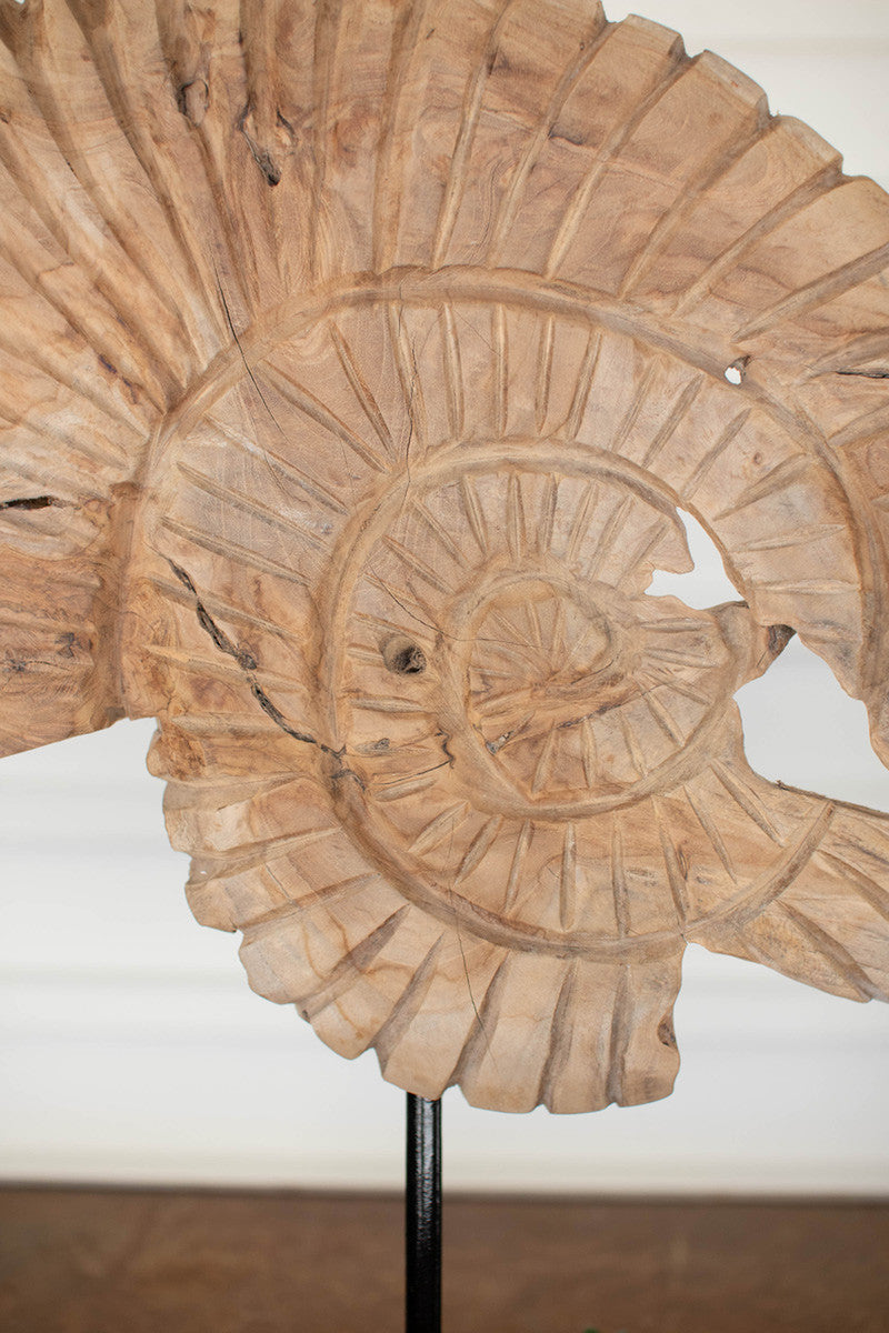 Teak Nautilus Shell On a Stand