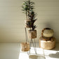 Three-Tiered Seagrass Plant Stand