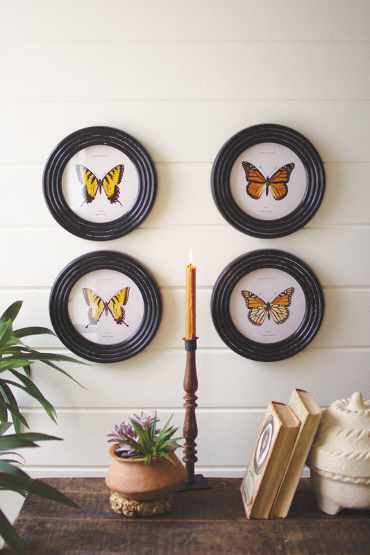 Set of 4 Round Framed Butterfly Prints Under Glass