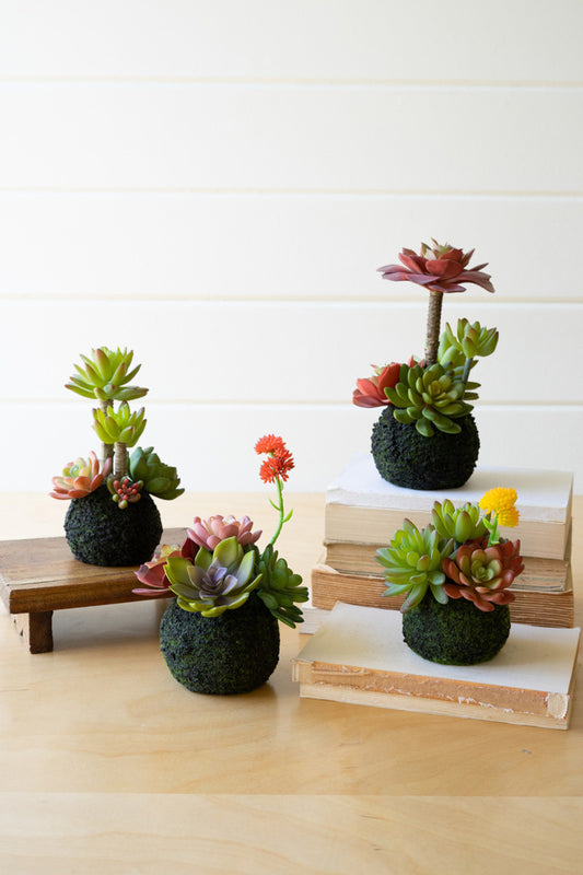 Set of 4 Artificial Succulents in a Moss Ball Base