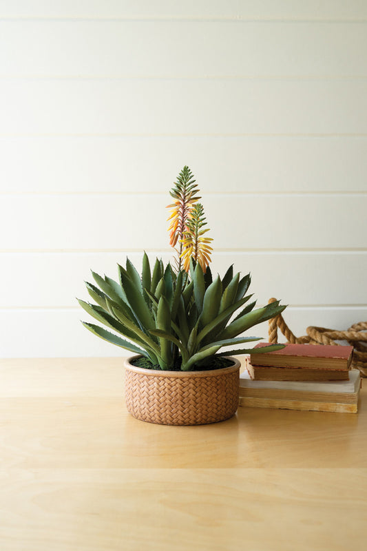 Artificial Blooming Aloe Succulent in a Cement Pot