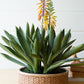 Artificial Blooming Aloe Succulent in a Cement Pot