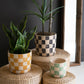 Set of 3 Checkered Clay Planters with Trays