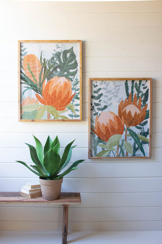 Set of 2 Framed Protea Prints Under Glass