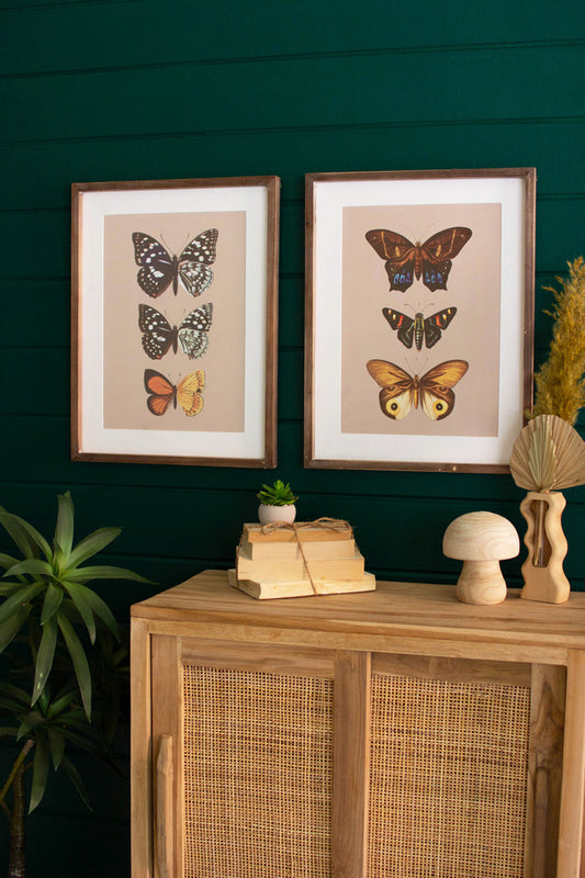 Set of 2 Framed Butterfly Prints Under Glass