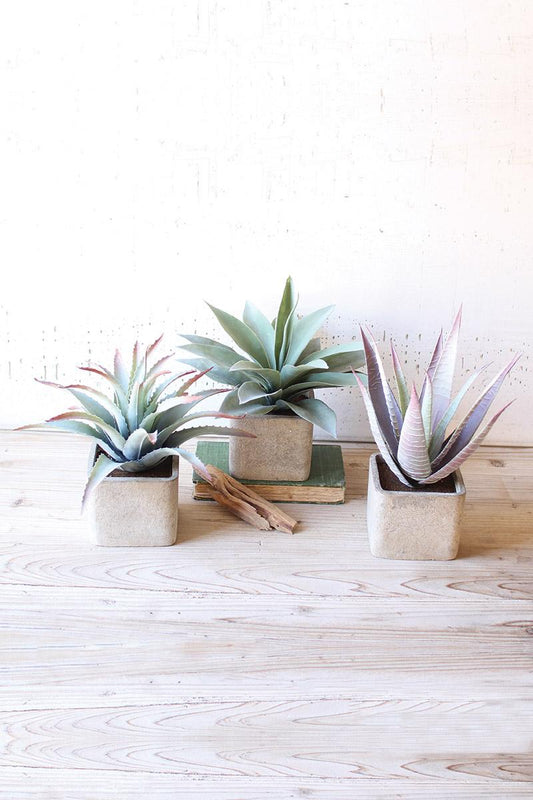 Large Artificial Succulents In Square Pots - Set Of Three