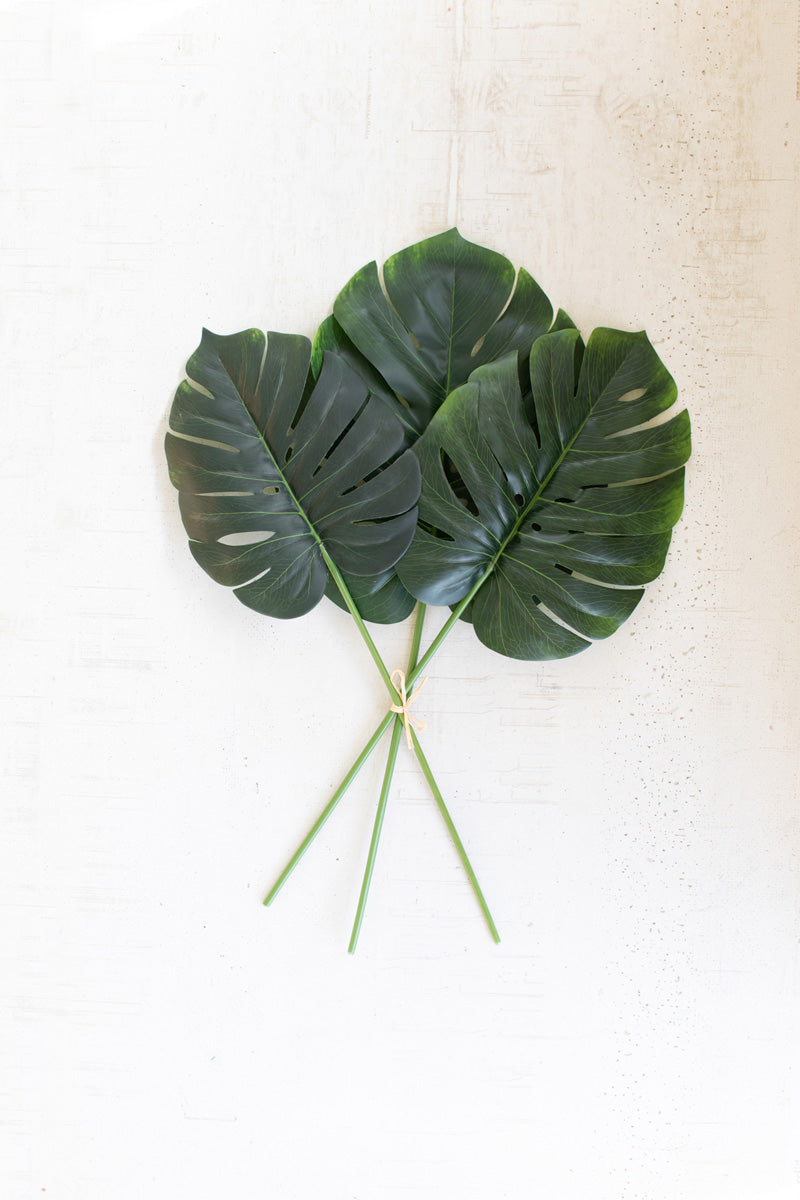 Large Monstera Leaf Bundle