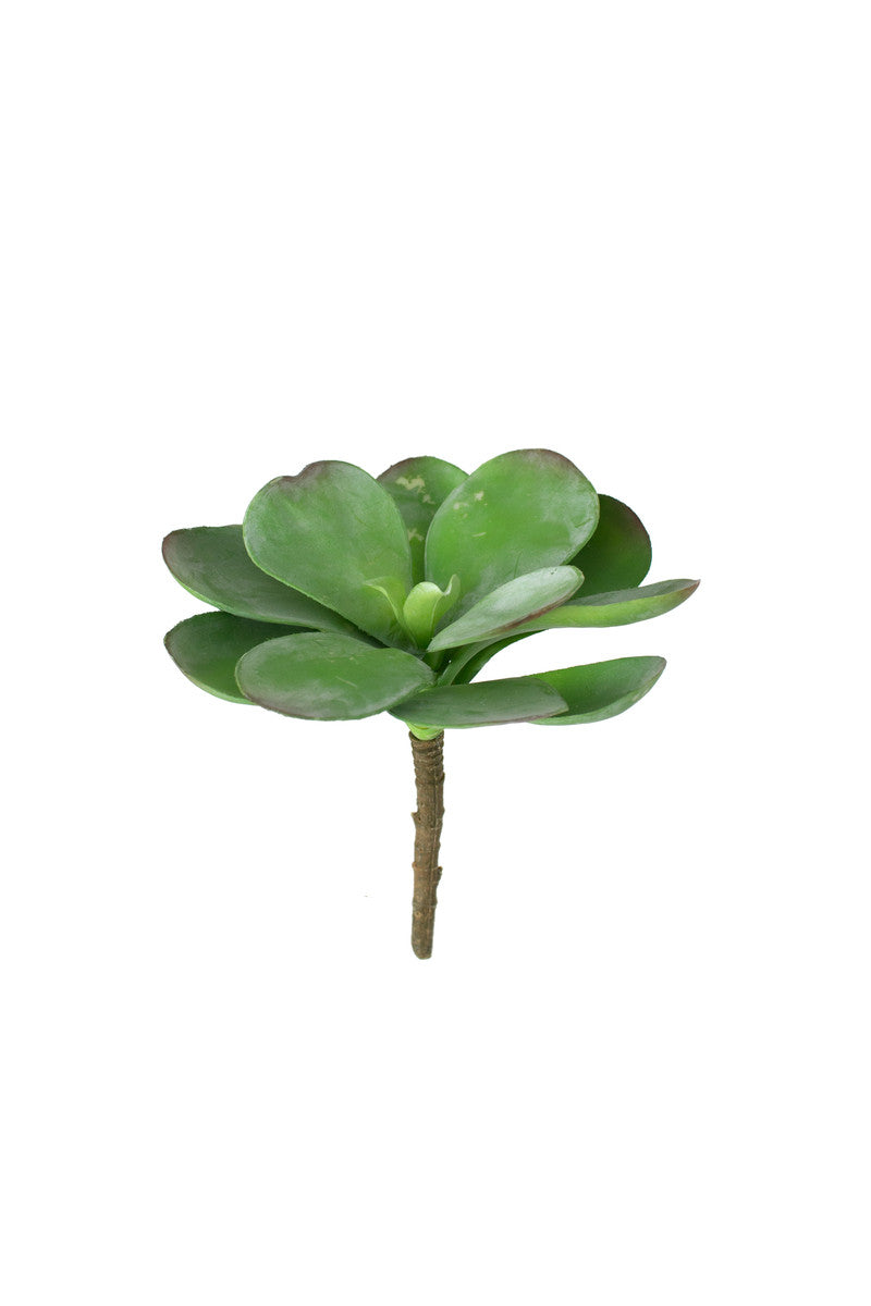 Artificial Paddle Plant