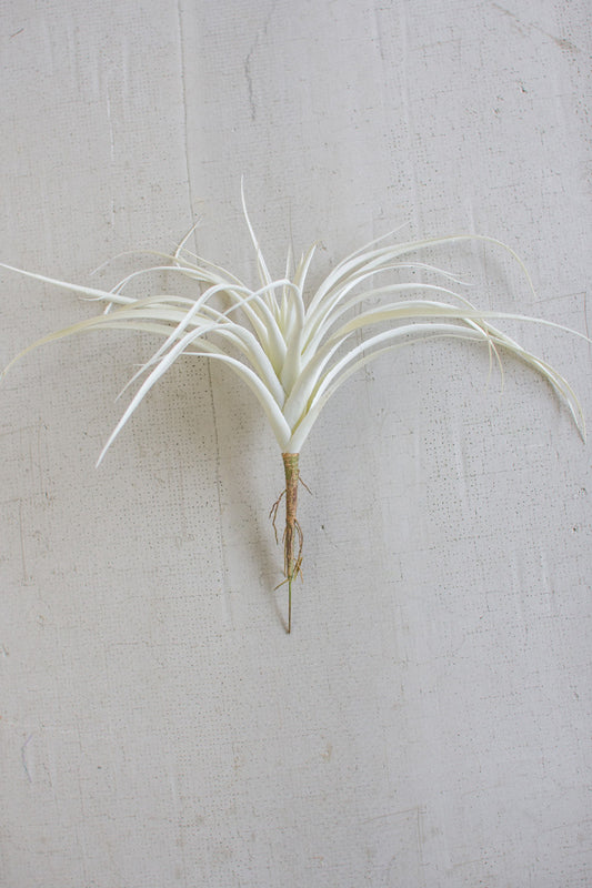 White Air Plant Large Set of 6