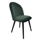 Clarissa Dining Chair Green JW-1002-16 Set of 2 - Yanni Custom 