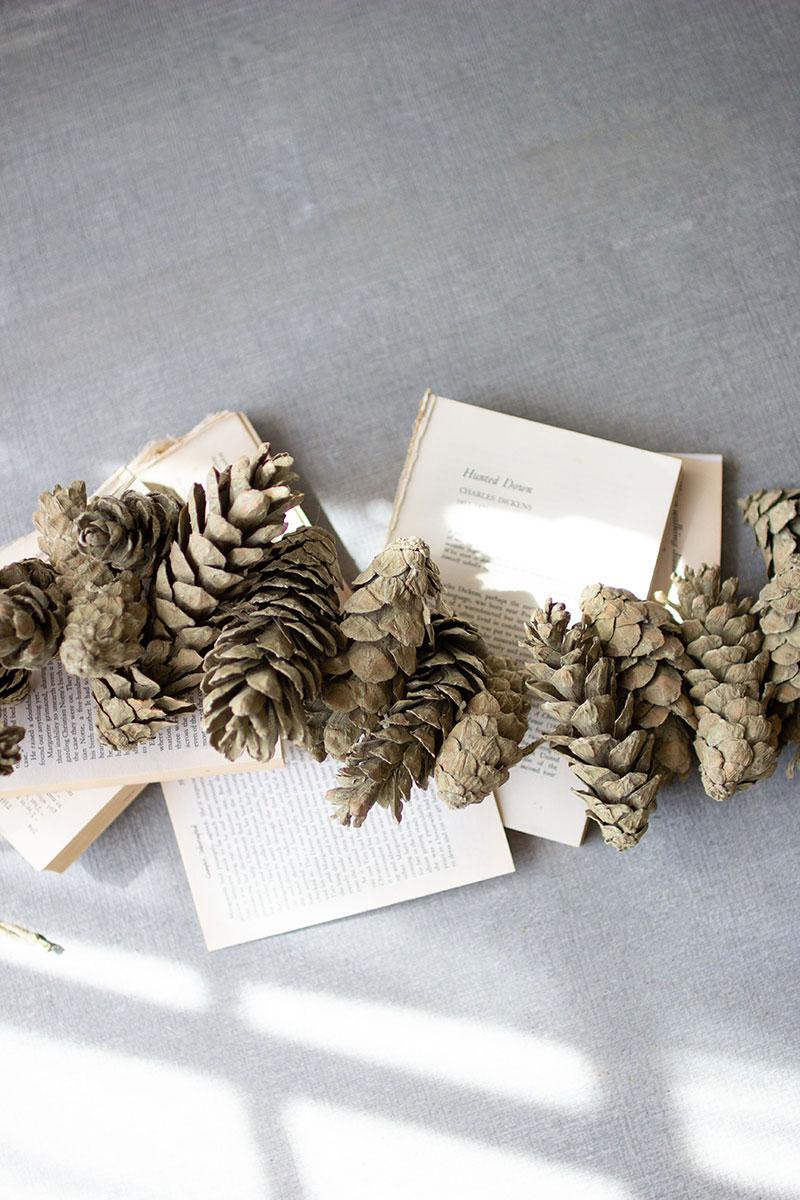 Sage Pine Cone Garland