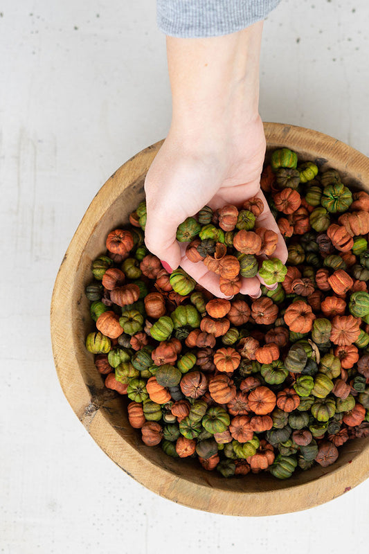 Bag of Orange and Green Putka Pods